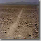 Nazca-Lines-Close-Up